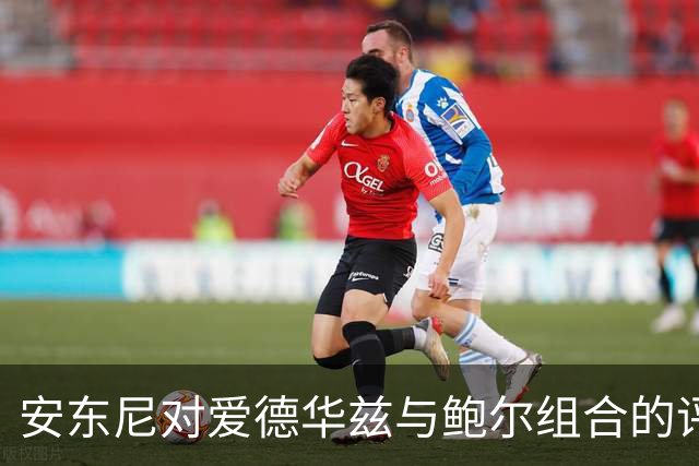 安东尼对爱德华兹与鲍尔组合的评价及其与历史搭档的比较
