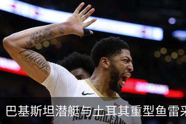 巴基斯坦潜艇与土耳其重型鱼雷采购的合作潜力分析