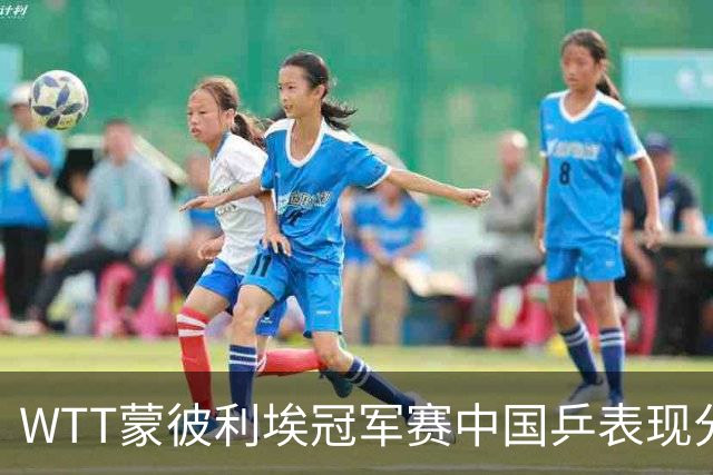 WTT蒙彼利埃冠军赛中国乒表现分析：男女队成绩差异与应对策略